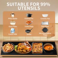 500W Portable Tapis Chauffant Électrique Chauffage Rapide Cuisine Alimentaire Plaque Chaude pour Usage Domestique Allemand Langue Opérationnelle Chauffage à Bobine