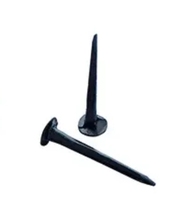 High Quality Zinc-Plated Steel Fasteners Hardware Heavy Head Shoe Tacks Nail