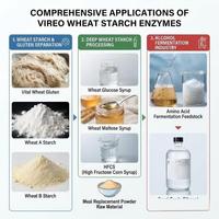 Poudre enzymatique complexe de qualité industrielle pour la transformation de l'amidon de blé – Approvisionnement direct usine pour l'industrie alimentaire
