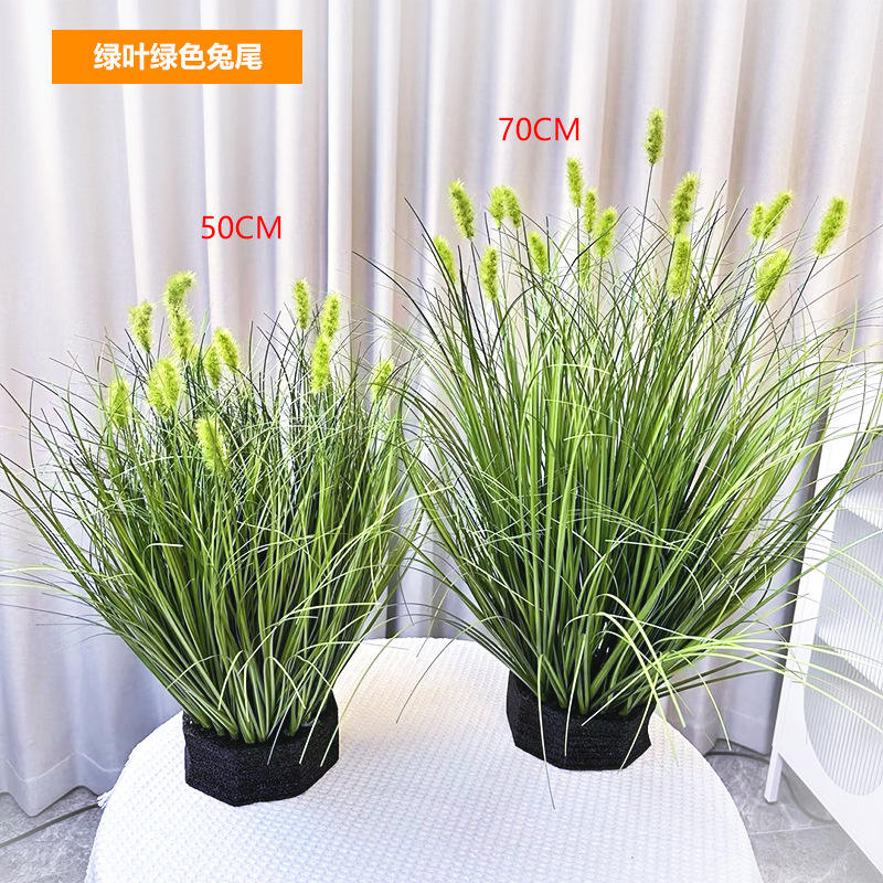 Feuilles vertes et queue de lapin verte