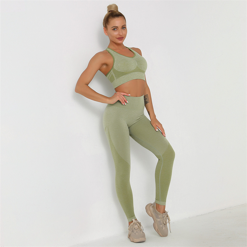 New Fashion Modern Breathable Workout Clothing Women Active Wear  Yoga Pants  BRA  5 colors