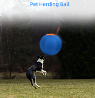 Balle de troupeau pour chien-Jouet d'entraînement et d'exercice gonflable en polyester de couleur unie durable pour animaux de compagnie