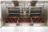 Machine à laminer automatique électrique à grande vitesse pour carton ondulé 3/5 plis