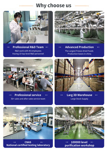 Vf מיובש ירקות ופירות מעורבים בהקפאה שואפות מטוגנות ואקום מטוגן באבקות חבילה בתפזורת ירקות פירות בסגנון צ 'יפס - Product Image 4