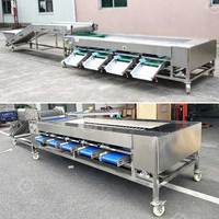 Knoflook-wortel-appel-fruit elektronische sorteermachine, sorteer- en wasmachine voor ananas en wasmachine voor lijnsortering
