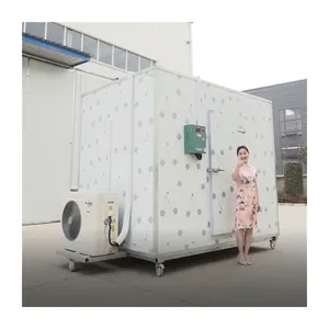 Sortie d'usine chambre de congélation refroidie par air stockage à froid condensation chambre froide congélateur extérieur