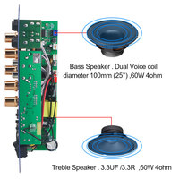 VIRE Güç Amplifikatörü 8-12 inç Hoparlör Çift Mikrofon 110V 220V 12V 24V Subwoofer Ses 60W AMP Modülü