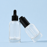 30ml 50ml Pemasok Kemasan Perawatan Pribadi Botol Tetes Kaca Bening Berlapis Embun untuk Serum Minyak Esensial OEM ODM