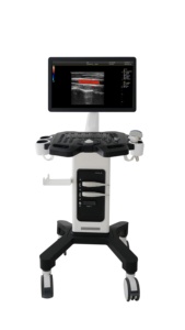 Escáner de Ultrasonido Doppler Color Tipo Carro, Económico, Dawei DW-F3, para Diagnóstico de Abdomen en Obstetricia y Ginecología - Product Image 6