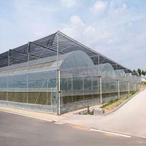 أرخص دفيئة بلاستيكية زراعية/تجارية/صناعية مع أنظمة كاملة للبيع - Product Image 3