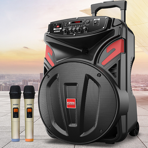 Loa Di Động 15 Inch Karaoke Có Thể Sạc Lại Ngoài Trời Loa Không Dây Bên Loa Siêu Trầm Với Mic SD AUX - Product Image 6