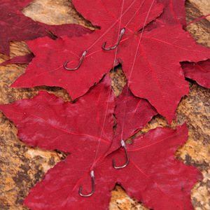 ชุดเบ็ดตกปลา Aohu 10 ชิ้น พร้อมสายลีดเดอร์ผูกสำเร็จ เบ็ดคู่ สำหรับตกปลาในน้ำจืด อุปกรณ์ตกปลาแบบมือ - Product Image 2