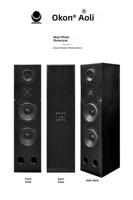 Amplificateur karaoké Bluetooth OK-2650, ensemble d'enceintes colonne 3 voies double 8 pouces OK-2860 avec télécommande