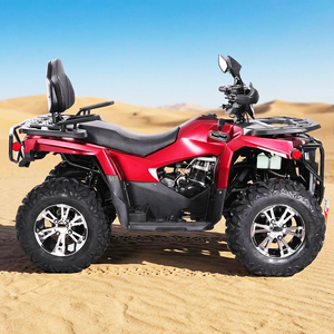 Buggy UTV de 300cc, 4 Tiempos, 4x2, Diésel, con Suspensión Independiente, para Montaña y Pistas Escénicas - Product Image 6
