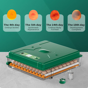 Tốc độ nở 98% hoàn toàn tự động công suất 200 gà Máy Ấp Trứng cho gia cầm - Product Image 4