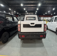 Nouveau véhicule électrique mini 2 places à basse vitesse, camionnette électrique à vendre