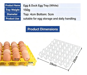 Plateau à œufs antichoc pour 30 œufs de canard ou de poule, en plastique, pour le transport, <span class=keywords><strong>prix</strong></span> abordable - Product Image 4
