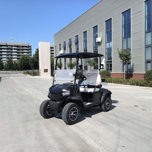 Carrito de golf eléctrico todoterreno de 2 plazas, homologado para circular por la calle, con batería de litio, personalizado para resort, hotel o campo de golf. - Product Image 5