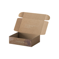 Boîte-cadeau en carton ondulé personnalisée pour avion avec gaufrage, emballage recyclé et biodégradable pour cadeaux promotionnels de Noël