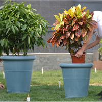 Pots de fleurs décoratives pour l'extérieur, serre de jardin, larges plantes