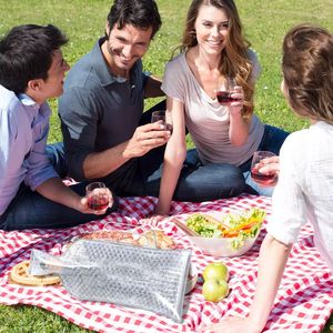 WETRUST-bolsa protectora de plástico para botellas de vino, bolsa de viaje de burbujas de PVC con mango - Product Image 5