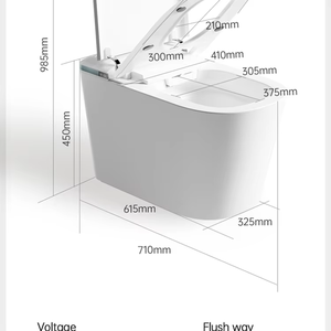 <span class=keywords><strong>WC</strong></span> intelligent en céramique monobloc de style moderne avec télécommande, vidange en S, montage au sol, bidet, accessoire de salle de bain - Product Image 5