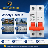 2P 63A Sakelar Isolasi Rumah Tangga Plastik Mini Pemutus Sirkuit Interlock AC MCB 240/415V 6kA CE untuk Pemasangan Rel Din BCD