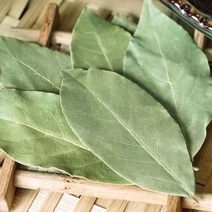 <span class=keywords><strong>Feuilles</strong></span> <span class=keywords><strong>de</strong></span> <span class=keywords><strong>Laurier</strong></span> Vertes Séchées Huaran, Épice Culinaire <span class=keywords><strong>de</strong></span> Haute Qualité, 50kg/sac, Directement <span class=keywords><strong>de</strong></span> l'Usine du Guangxi, Prix Bas pour l'Exportation - Product Image 5
