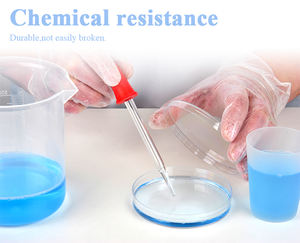 Guantes Desechables de Vinilo para Servicio de Alimentos, Rentables, 24CM, Sin Silicona, Sin Polvo, No Estériles, Textura Lisa y Transparente, Personalizables - Product Image 5