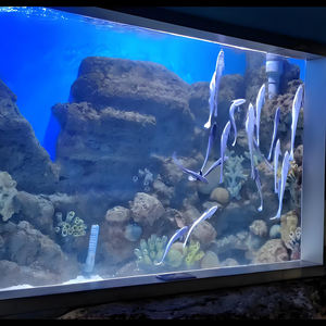 Xinxunlin Hoge Kwaliteit Voortreffelijke Acryl Aquarium Staan 5000 Liter Aparte Tank Betta 'S 10000 Liter Transparant Aquarium - Product Image 1