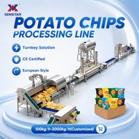Ligne complète clé en main de transformation de chips de pommes de terre 2000 kg/h avec système de friture, tri chromatique, assaisonnement et emballage, certifiée CE