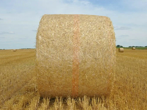 Filet de paillage agricole blanc pour ensilage de <span class=keywords><strong>paille</strong></span> et de fourrage, modèle M-0089, de Jiangsu - Product Image 6