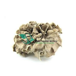 Grifola Frondosa tozu <span class=keywords><strong>Maitake</strong></span> mantar tozu doğal organik sınıf mantar tozu % <span class=keywords><strong>100</strong></span>% saflık - Product Image 1