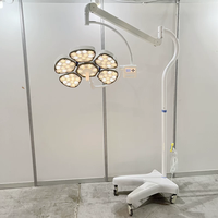 Lampe chirurgicale LED sans ombre pour clinique vétérinaire, source de lumière froide à intensité réglable, verticale, pour examen médical au plafond