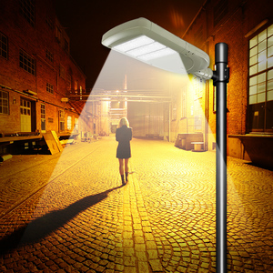 Nouvelle technologie, lampadaire LED étanche IP65 avec CCT réglable de 50W à 300W, corps de lampe en aluminium, alimentation AC, FL-LD-DCR2 So - Product Image 3