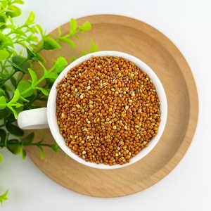 Nouvelle récolte, approvisionnement direct usine, <span class=keywords><strong>millet</strong></span> rouge en coque de haute qualité à prix abordable - Product Image 4