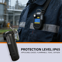 Détecteur de gaz portable, moniteur de gaz rechargeable, détecteur intelligent d'éthylène, portable et manuel