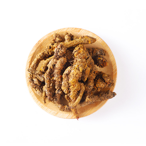 Huang Lian天然乾燥中国ゴールドスレッドルーツ生のイチジクの花のキャンカーシングルスパイス & ハーブ - Product Image 1