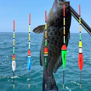 WEIHE 5PCS釣りギアアクセサリー釣りフロートロングテール - Product Image 2