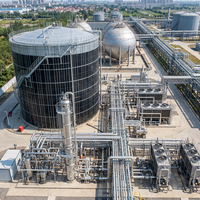 Réacteur anaérobie au biogaz en acier boulonné enduit d'époxy de 10 000 m³, personnalisé pour le traitement des eaux usées et du fumier d'élevage