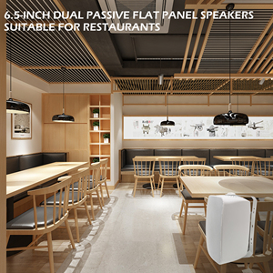 Odr65 treo tường loa cho hội nghị, trường học OEM/OEM 6.5inch 30 Wát 100V hộp đen kim loại nhựa không dây AC <span class=keywords><strong>SONOS</strong></span> thụ động - Product Image 3