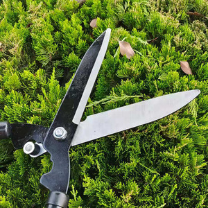 Cisailles à haies Tokunosuke, lame en acier à haute teneur en carbone de 45-60 cm, pour la taille des jeunes arbres fruitiers et des jardins - Product Image 3
