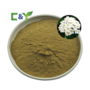 スパイレア・サリシフォリアハーブエキス粉末＆カプセル 食品グレード スパイレア・サリシフォリアエキス - Product Image 1