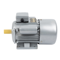 Moteur à condensateur monophasé à double valeur de série YL