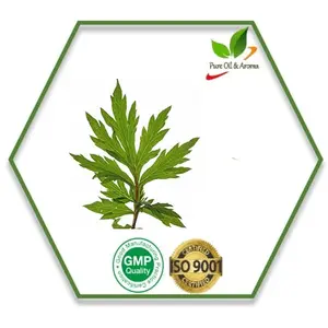 100% puro e naturale con certificazione ISO & GMP olio essenziale Davana dall'India con il miglior prezzo e qualità