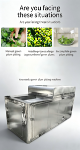 Máquina Deshuesadora Automática Motorizada de Alta Capacidad para Dátiles Secos, Melocotones, Manzanas y Peras - Product Image 6