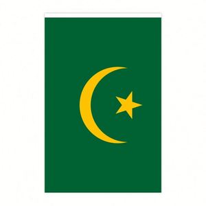 ธงประดับสายรุ้งขนาด 5.5x8 นิ้ว สำหรับตกแต่งภายในและภายนอกอาคาร ขายส่ง (20 ชิ้น/ชุด) - Product Image 3