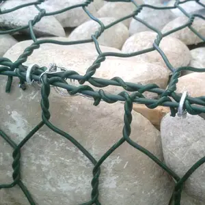 Gabion en treillis métallique Hexagonal revêtu, fabricant chinois