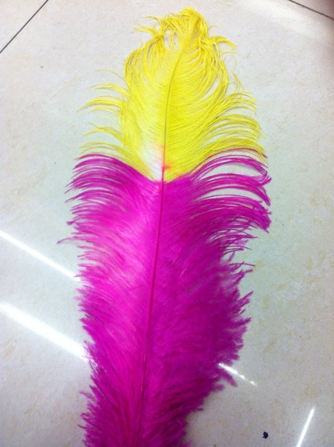 Amarillo+fucsia