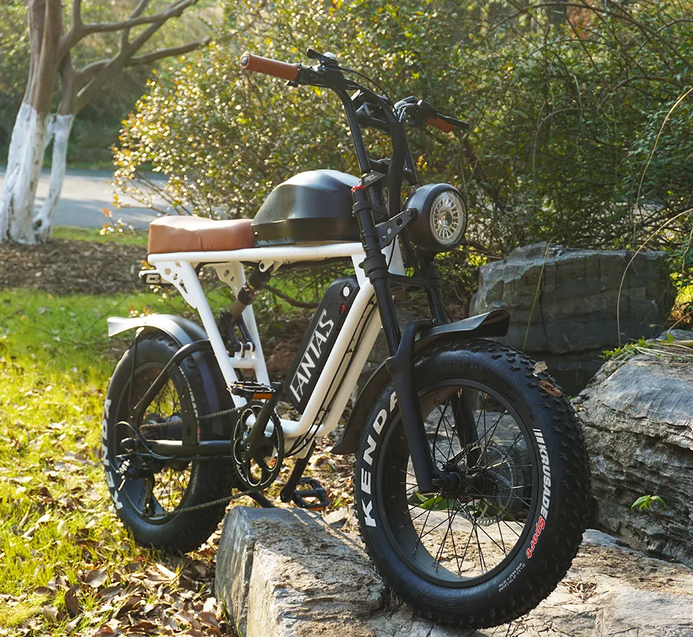 Super knight-001 bicicleta elétrica da cidade, com pneus gordos de 20 polegadas, e-bicicleta para neve, praia para adultos, 2022